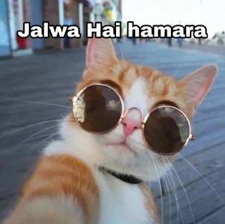 😎 emoji Chori karna paap hai!! Telegram sticker 22 of 24