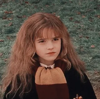 Sticker from ＠ ─ Hermione Granger ,, 🥢