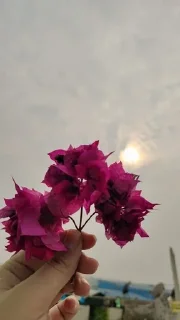 😊 emoji ishita_ki_photography Telegram sticker 5 of 41