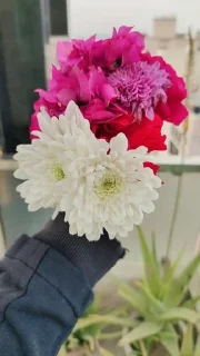 🥰 emoji ishita_ki_photography Telegram sticker 6 of 41