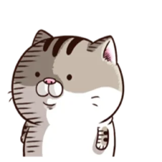 😨 emoji Ami fat cat Telegram sticker 15 of 39