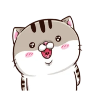 😳 emoji Ami fat cat Telegram sticker 5 of 39
