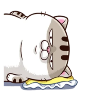 🤔 emoji Ami fat cat Telegram sticker 21 of 39