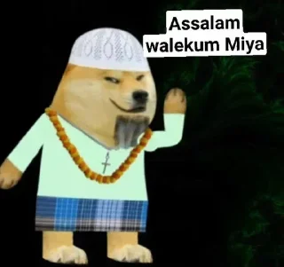 Sticker from Cheems (Musalmon version)