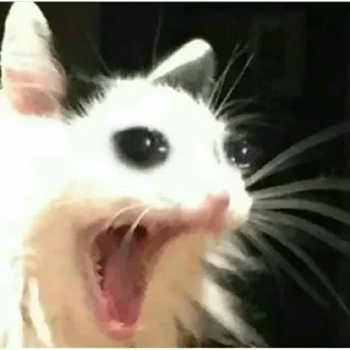 🙃 emoji Shivanis kang pack 1 Telegram sticker 8 of 44