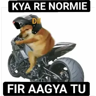 🤨 emoji @chauhan_vansh norm  by @Mikasa_Ackr_bot Telegram sticker 2 of 120