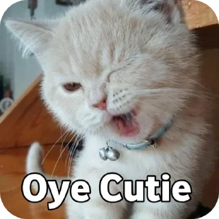 🐱 emoji ❤️❤️ By @MrCutex Telegram sticker 5 of 109