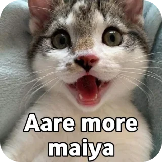 🐱 emoji ❤️❤️ By @MrCutex Telegram sticker 11 of 109