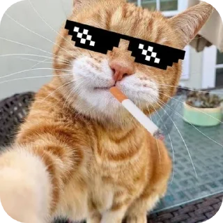🐱 emoji ❤️❤️ By @MrCutex Telegram sticker 12 of 109