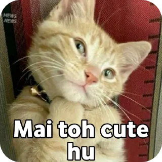 🐱 emoji ❤️❤️ By @MrCutex Telegram sticker 10 of 109