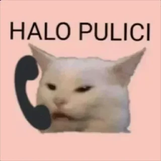 🐾 emoji Innu🤬s kang pack Telegram sticker 9 of 93