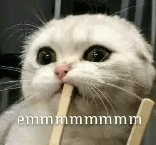 😔 emoji Innu🤬s kang pack Telegram sticker 22 of 93