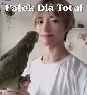🥺 emoji tubatu meme @memestikerkpop Telegram sticker 16 of 44