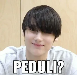 🥺 emoji tubatu meme @memestikerkpop Telegram sticker 18 of 44