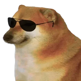 😎 emoji ˹⏤͟͟͞͞𝐍є𝐎𝐍 norm  by @ZeadRobot Telegram sticker 12 of 93