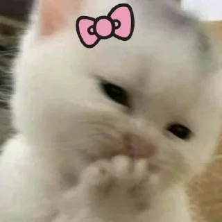 🥰 emoji (SHANKAR)'s kang pack Telegram sticker 19 of 109