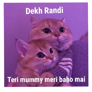 😩 emoji RANDI  {@sorcerers_680} Telegram sticker 21 of 50