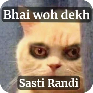 🐱 emoji RANDI  {@sorcerers_680} Telegram sticker 6 of 50