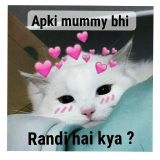 🐱 emoji RANDI  {@sorcerers_680} Telegram sticker 20 of 50
