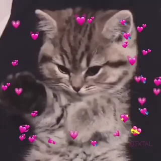 Sticker from ❥𝑵𝒊𝒔𝒉𝒊𝒎𝒊𝒚𝒂's video pack (@YaeMiko_Roxbot)
