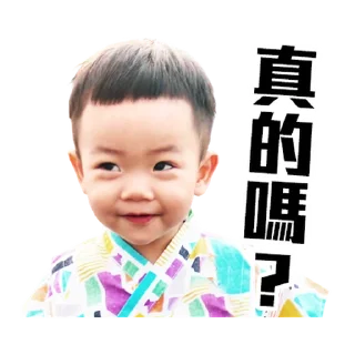 👦 emoji 蔡桃貴陪你一起過新年 @taiwanesestickers Telegram sticker 11 of 40