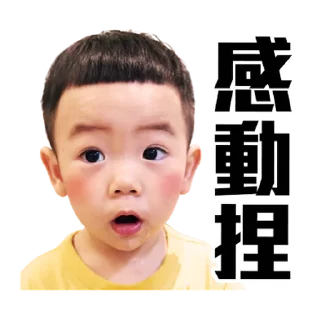 👦 emoji 蔡桃貴陪你一起過新年 @taiwanesestickers Telegram sticker 20 of 40