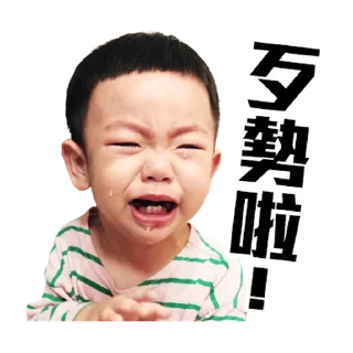 👦 emoji 蔡桃貴陪你一起過新年 @taiwanesestickers Telegram sticker 13 of 40