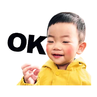 👦 emoji 蔡桃貴陪你一起過新年 @taiwanesestickers Telegram sticker 16 of 40