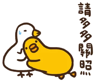 ⭐ emoji 伸縮自如的雞與鴨8抓住雞喙 @moe_sticker_bot Telegram sticker 6 of 40