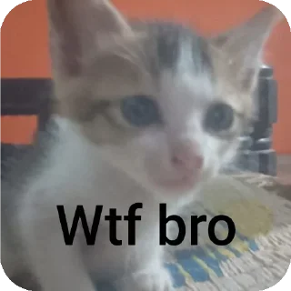 🐱 emoji Narutos kang pack Telegram sticker 24 of 89