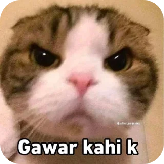 Sticker from Devraj❤️‍🩹's sticker pack (@Sizuka_grouphelp_bot)