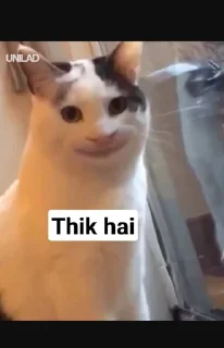 🤔 emoji 亗 𝚄𝚁𝚂⇀Harshu bhaiya 亗s kang pack Telegram sticker 7 of 87
