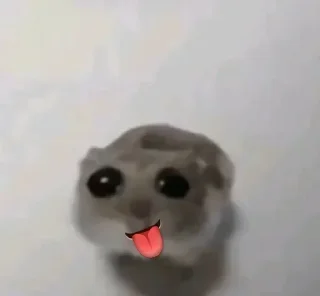 Sticker from Hamster 🐹 🥹