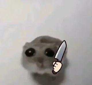 Sticker from Hamster 🐹 🥹
