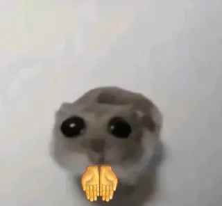 Sticker from Hamster 🐹 🥹
