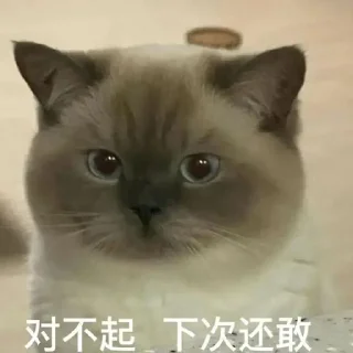 Sticker from 黑糖小猫咪