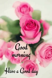 Sticker from Good Morning