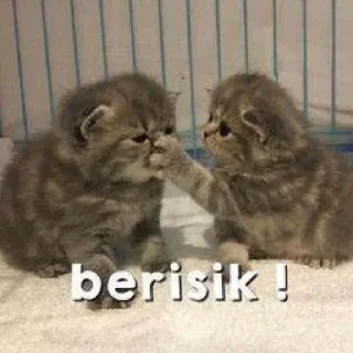 Sticker from buatan paju