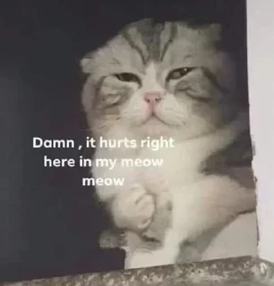 Sticker from V's favs