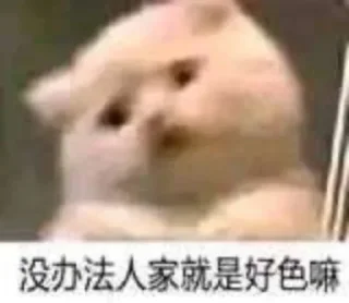 🐱 emoji 苟一下 静态贴纸包(0) Telegram sticker 19 of 112