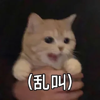 😛 emoji 苟一下 静态贴纸包(0) Telegram sticker 15 of 112