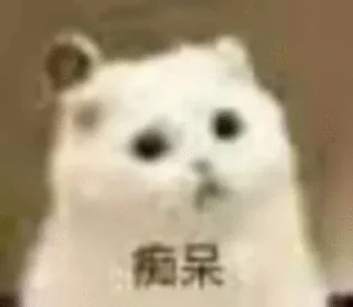 🐱 emoji 苟一下 静态贴纸包(0) Telegram sticker 21 of 112