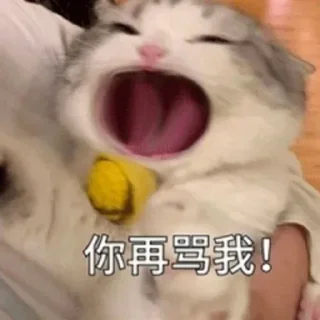 🐱 emoji 苟一下 静态贴纸包(0) Telegram sticker 22 of 112