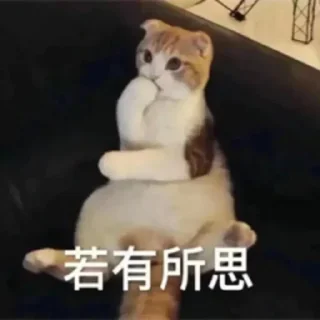 🐱 emoji 苟一下 静态贴纸包(0) Telegram sticker 18 of 112