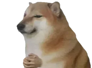 😏 emoji 愚かÑ𝙖𝙩𝙨ūㅤㅤㅤㅤㅤㅤㅤㅤㅤㅤㅤㅤㅤㅤㅤㅤㅤㅤㅤㅤㅤㅤㅤㅤㅤㅤㅤㅤㅤㅤㅤㅤㅤㅤㅤㅤㅤㅤㅤㅤㅤㅤㅤs kang pack Telegram sticker 20 of 89