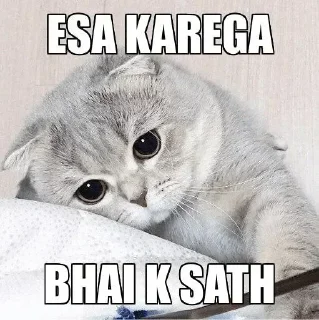 🥺 emoji Use karo Telegram sticker 10 of 49
