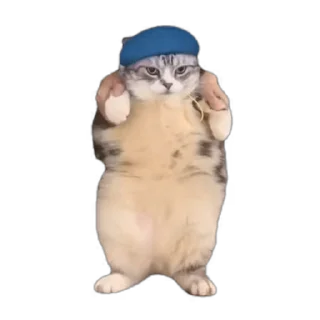Sticker from 𝙰 𝙽 𝙾 𝚂's Video Pack (@Zeroo_Twoo_Bot)