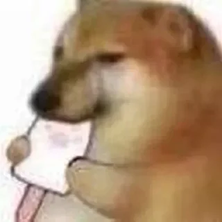 😂 emoji 𝙰 𝙽 𝙾 𝚂 帝's sticker pack (@Mikasa_Ackr_bot) Telegram sticker 9 of 38