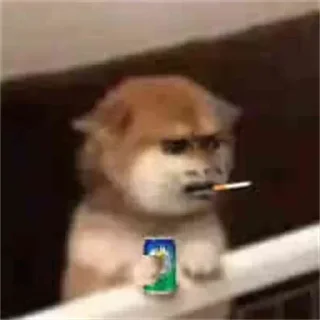 Sticker from 飞机号查天眼找飞机哥 @feijige