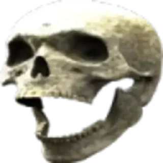 💀 emoji Awesome pack Telegram sticker 14 of 120